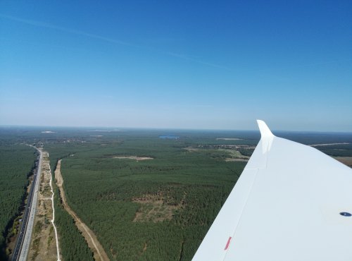 Südlich von Berlin: Wald