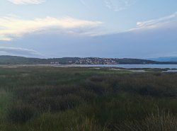 Blick über die Bucht Zaljev Soline