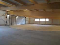nhalle1
