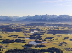 IMG_8095-2